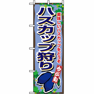 美味しいハスカップをどうぞ ハスカップ狩りのぼり（nb-1377）サムネイル画像