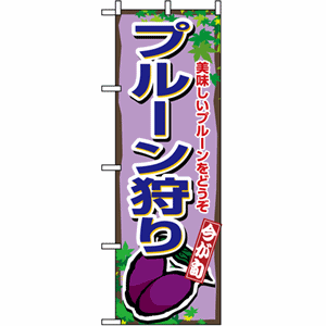 美味しいプルーンをどうぞ プルーン狩りのぼり（nb-1379）サムネイル画像