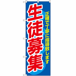 正確で丁寧に指導致します 生徒募集のぼり(nb-3228)サムネイル画像