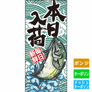 フルカラー店頭幕【本日入荷 毎日新鮮】（nb-63254～61146）サムネイル画像