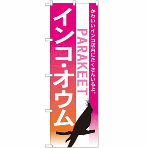 かわいいインコ店内にたくさんいるよ。インコ・オウムのぼり(nb-7521)サムネイル画像